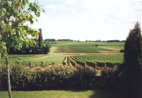 vign18